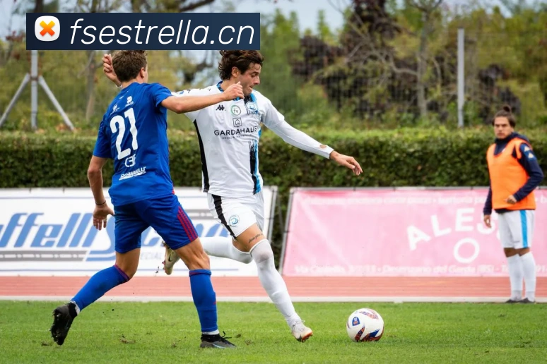 App Interface Preview